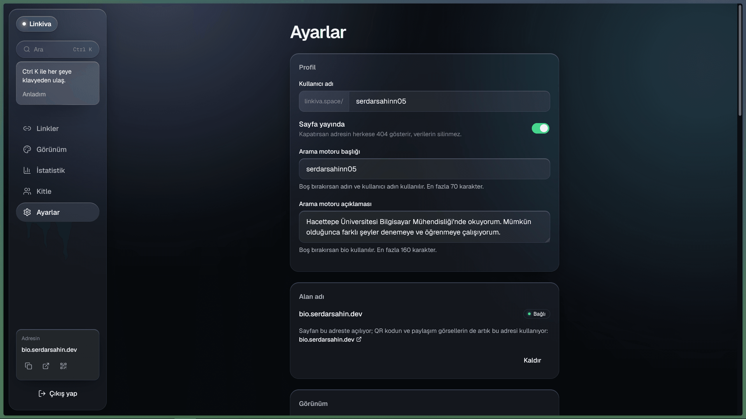 Ayarlar — kullanıcı adı, yayın durumu, arama motoru bilgileri ve alan adı
